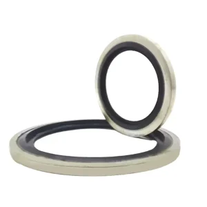 316 Stainless Steel FKM Combined Flange Seal High Temperature Resistant for Petrochemical Pipelines