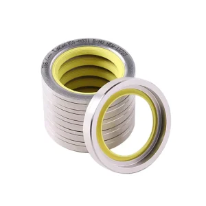 Dual PTFE Lip Stainless Steel Oil Seal Rotary Shaft Seal Compressors Vacuum Pumps Engine Mixers Compressor Oil Seal