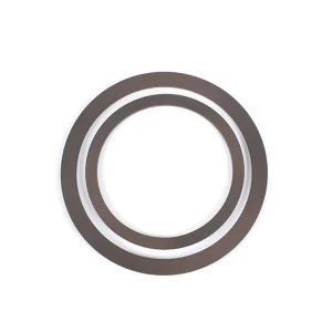 Leak Resistant Fluoroplastic PTFE Mechanical Gasket for Oil and Gas Pipeline Connections