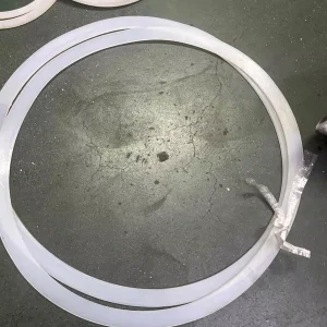 Seal Ring